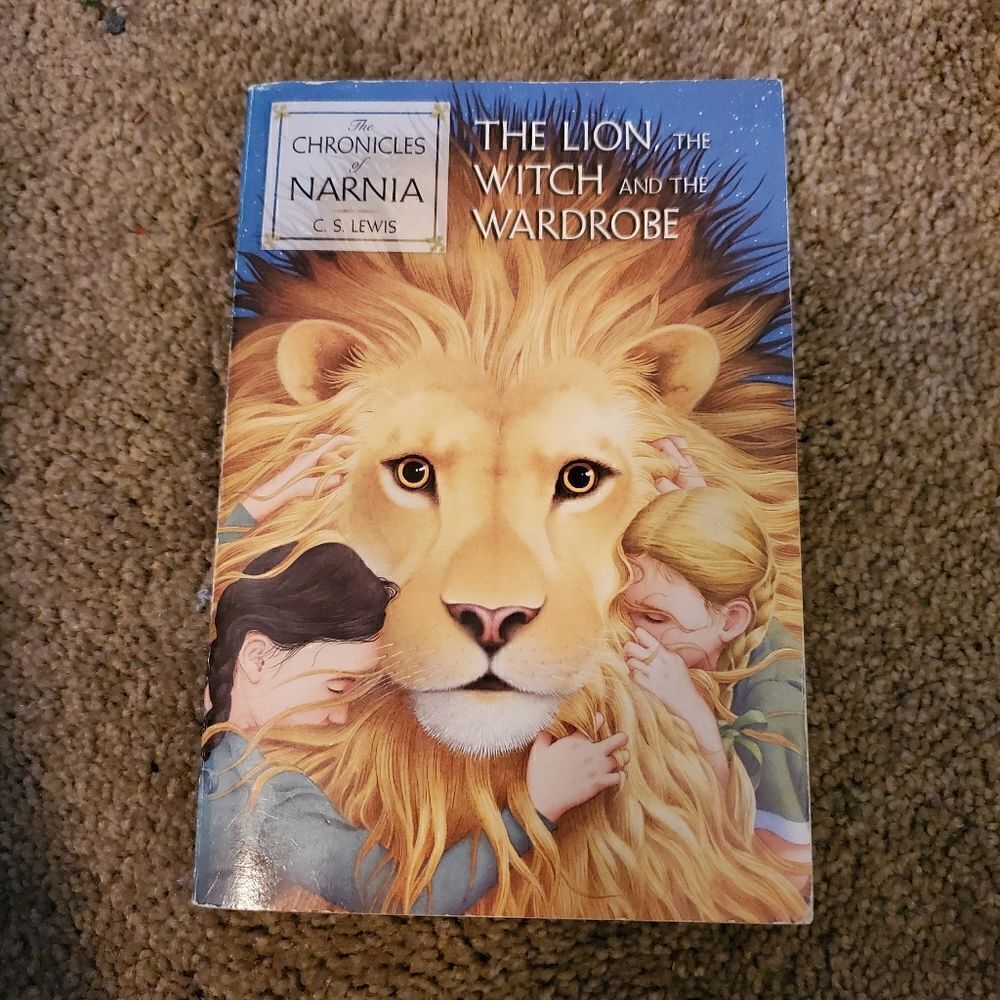 2 chapter books - Picture 3 of 5